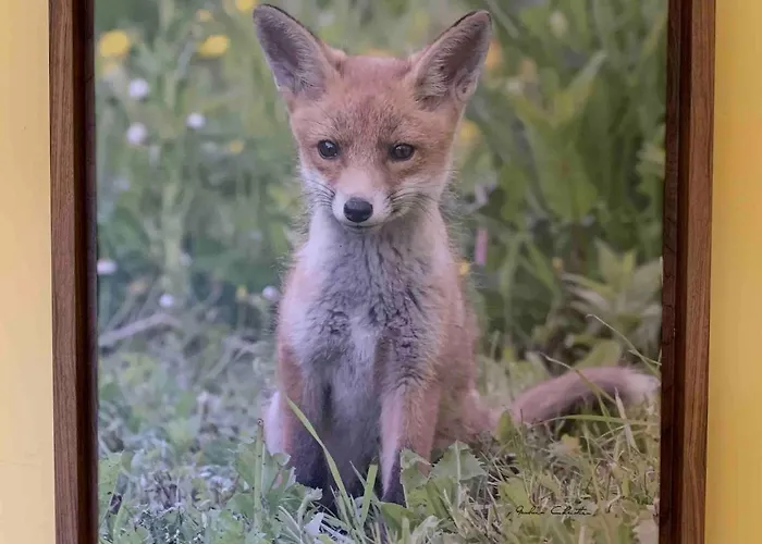 Holiday home Belle Dune - Vue Sur Le Golf *